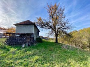  Casa de Vânzare în Zona Piatra Craiului, Cornitel - imagine 10