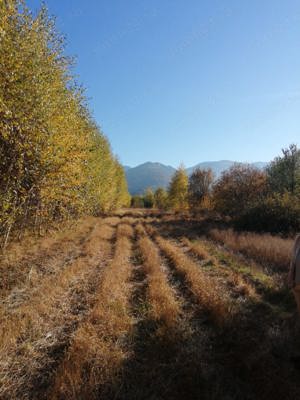 Teren extravilan, zonă montană