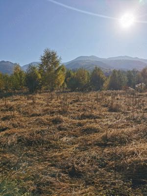 Teren extravilan, zonă montană - imagine 3