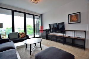 Apartament Herastrau - imagine 5