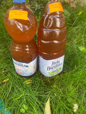 Vând miere de albine, ceara și bostina - imagine 3