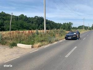 Proprietar vând teren intravil 27.000 mp -DOMNESTI în Bucsani padure - imagine 5