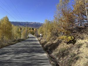 Teren 10000   mp in zona Pestera-Moieciu, la 5 km de Bran  - imagine 15