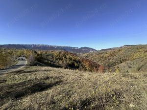 Teren 10000   mp in zona Pestera-Moieciu, la 5 km de Bran  - imagine 3