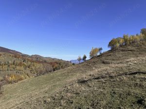 Teren 10000   mp in zona Pestera-Moieciu, la 5 km de Bran  - imagine 18