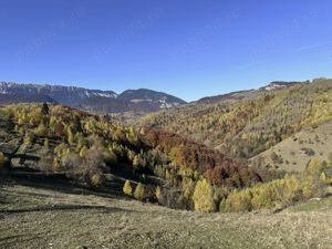 Teren 10000   mp in zona Pestera-Moieciu, la 5 km de Bran  - imagine 17