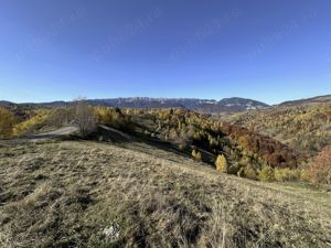 Teren 10000   mp in zona Pestera-Moieciu, la 5 km de Bran  - imagine 16