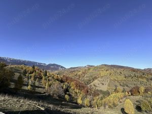 Teren 10000   mp in zona Pestera-Moieciu, la 5 km de Bran  - imagine 13