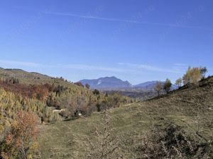 Teren 10000   mp in zona Pestera-Moieciu, la 5 km de Bran  - imagine 14