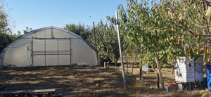 Teren de intravilan de vanzare