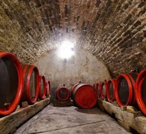 Vin Alb Rose și Roșu Calitate garantată prin medalii de aur în Bazinul Carpatic și Transilvania