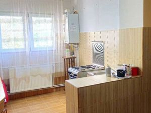 Apartament cu doua camere, parter - zona centrala, Potcoava de Aur - imagine 7