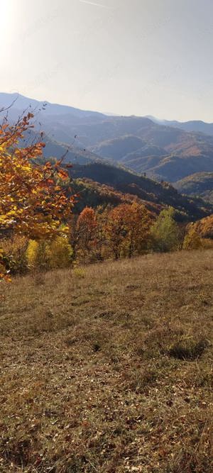 Vand teren Poiana Marului Brasov - imagine 4