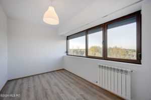 Apartament mic de vacanta pe malul Lacului Snagov, cu terasa generoasa - imagine 9