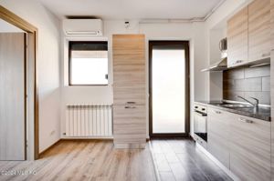 Apartament mic de vacanta pe malul Lacului Snagov, cu terasa generoasa - imagine 5