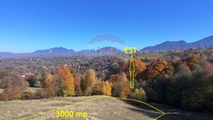 Teren 3,500mp Bran / Strada Bradul Inalt - imagine 3