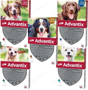 Advantage - Advantix 