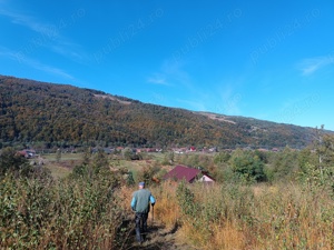 Teren intravilan de 12.000 metri in Valea Drăganului cu vedere panoramică exceptională - imagine 3