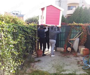 Cusca caine izolata lemn masiv - orice dimensiune la comanda - imagine 5