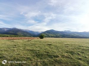 Teren 2000 mp pentru casa de vacanta in zonă montană - Satul de Vacanță Valea Berivoi - jud. Brasov - imagine 6