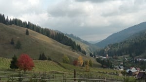 Teren pentru investitii la munte in Bucovina - imagine 6