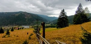 Teren pentru investitii la munte in Bucovina - imagine 5