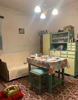 Casa 3 camere cu 2 fronturi plus 860 mp Lipovei-Aradului 178000 euro - imagine 13