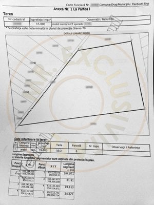 Teren 15000 mp, la asfalt, deschidere 105 m, pretabil hale, parc fotovoltaic - imagine 7