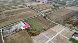 Teren pretabil investitie in Daia judet Sibiu - imagine 5