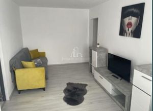 Apartament 2 camere, Renovat, Mobilat, Utilat, Zona Dambu - imagine 3