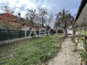 Casa de vanzare 3 camere anexe gospodaresti 2173 mp teren in Gura Vaii - imagine 3