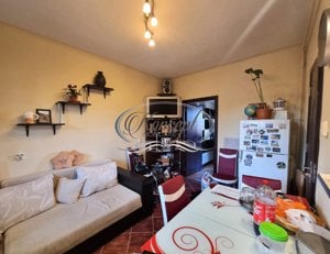 Apartament in Gruia - imagine 5