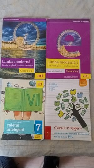 Manuale și caiete limba engleză (clasa a V-a) și limba română (clasa a VII-a) - Art Educațional