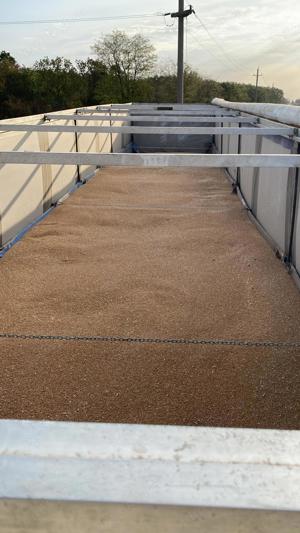 Semiremorca prelată basculabila Krone  - imagine 3