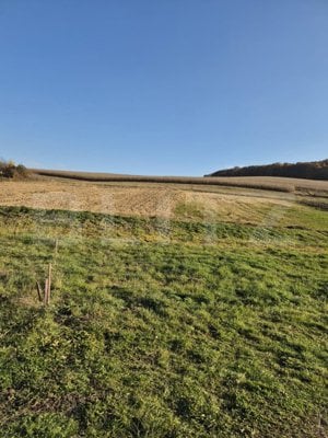 Proprietate de vanzare in Bardesti cu 1900 mp teren - imagine 15