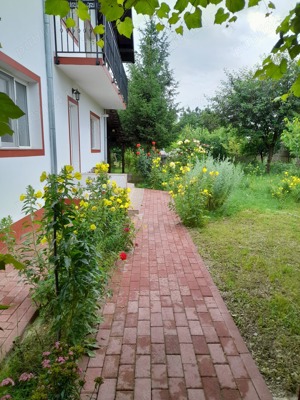 Casa de vanzare, 4 camere, Pitesti, zona Slava - imagine 3