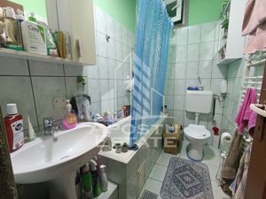 Apartament cu 4 camere, centrala proprie, 2 bai, terasa, zona Iosefin. - imagine 12