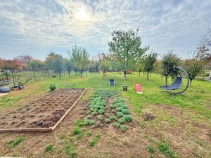 Vilă cu 6 camere de vânzare în Bujac/Arad - imagine 6