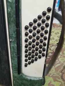 acordeon Timiș 