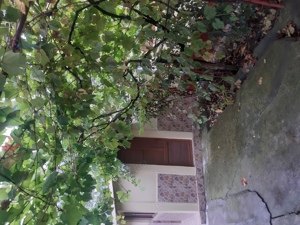 Casa 5 camere, 94 mp,dependinte,apa curenta,Stalpu Buzau - imagine 7