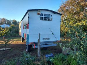 Pavilion apicol - imagine 3