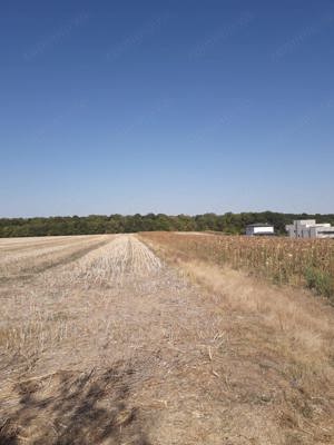 Proprietar vând teren intravilan la pădure cu vedere spre lacul din zona Moara Vlăsiei(Vlăsia)jud.If - imagine 8