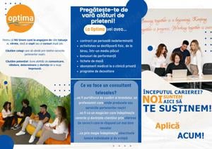 Consultant vanzari - limba română