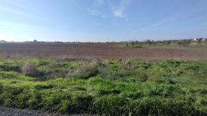 Teren intravilan cu deschidere la Drum European Ovidiu - imagine 6