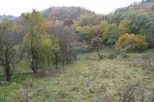 Teren 35,232mp Sighetu Marmatiei / Strada Valea Cufundoasa - imagine 5