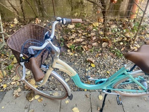 Ofertă specială,0 km a jumătate preț,Bicicletă electrică YOSEMITE 28