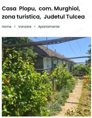 Casă de vânzare sat Plopu,comuna Murighiol