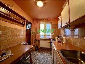 Apartament 3 camere. Arad, Zona Ultracentral, Libelula - imagine 6