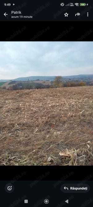 Vând teren intravilan in comuna Rîciu ,jud Mureș 