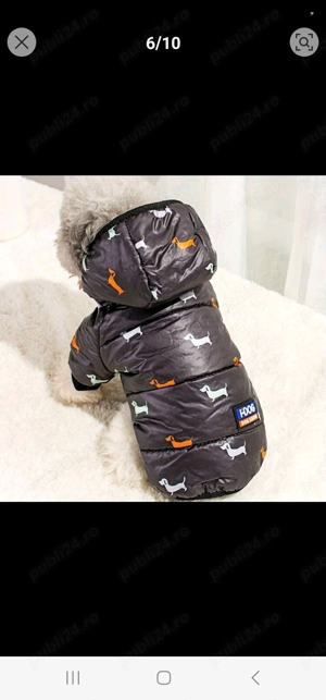 Vand hăinuța de catel  - imagine 2